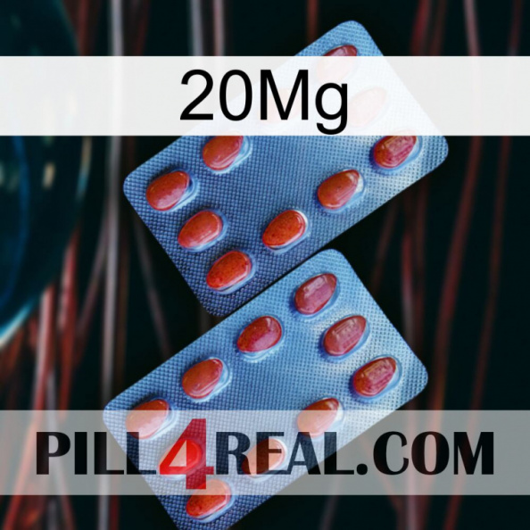 20Mg 05.jpg